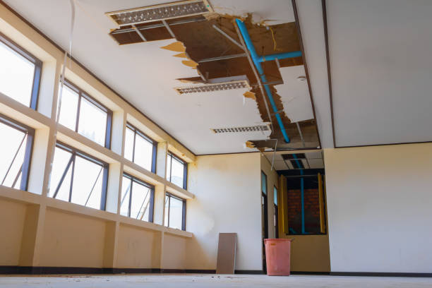 Best Local water damage restoration  in Mount Jackson, VA
