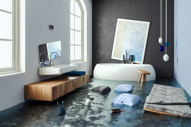 Best Mold removal after water damage  in Mount Jackson, VA