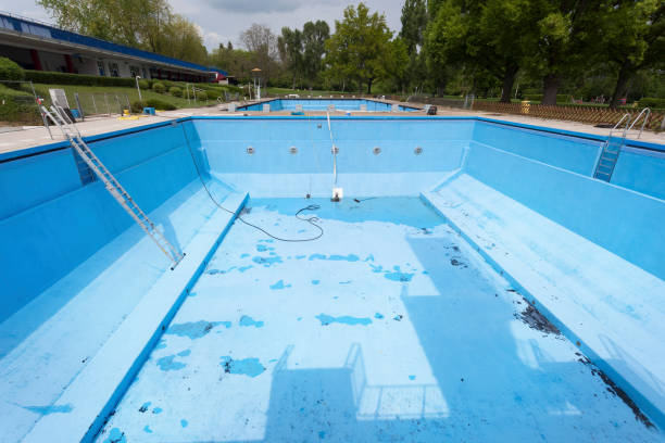 Best Commercial water damage restoration  in Mount Jackson, VA