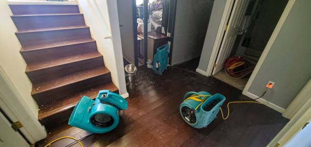 Trusted Mount Jackson, VA Water damage restoration Experts