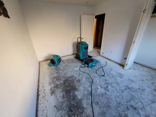 Best Water damage restoration near me  in Mount Jackson, VA