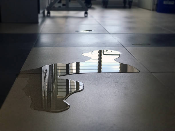 Best Water damage contractors near me  in Mount Jackson, VA