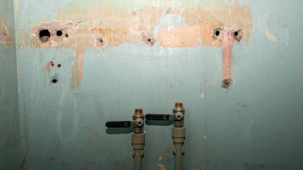Sewage cleanup and water damage restoration in Mount Jackson, VA
