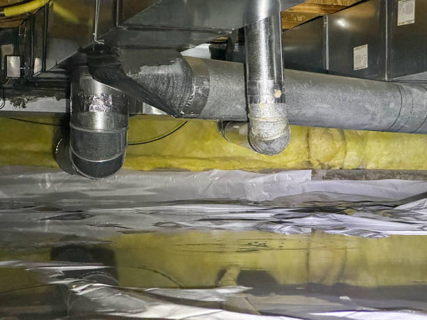 Best Fire Damage Restoration  in Mount Jackson, VA