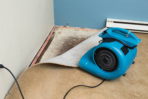 Water damage restoration experts in Mount Jackson, VA